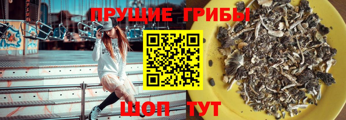Галлюциногенные грибы ЛСД  Вход с VPN  Галлюциногенные грибы Psilocybe  Железногорск 